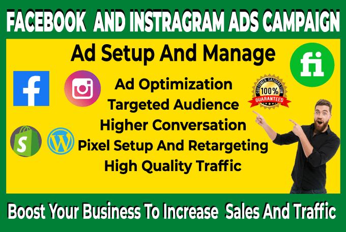 Gig Preview - Set up and manage your facebook ads, instagram ads campaign