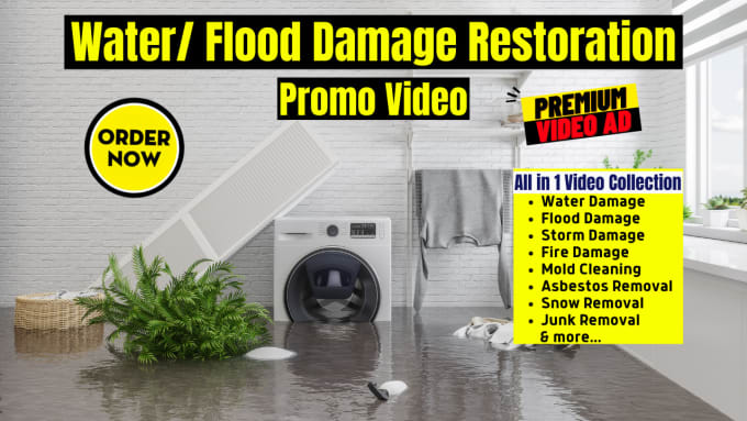 Gig Preview - Water damage cleanup video or flood damage restoration video