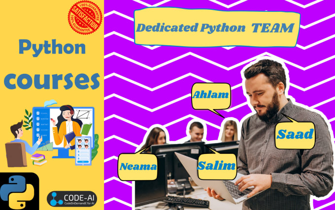 Gig Preview - Teach you python courses live