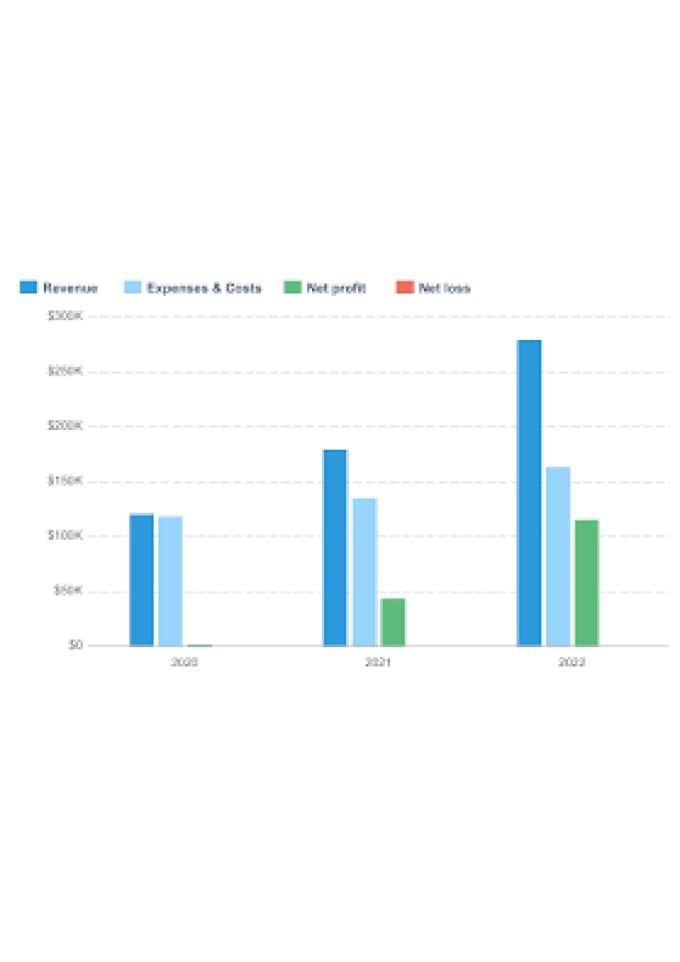 Gig Preview - Create a financial plan and model in one day