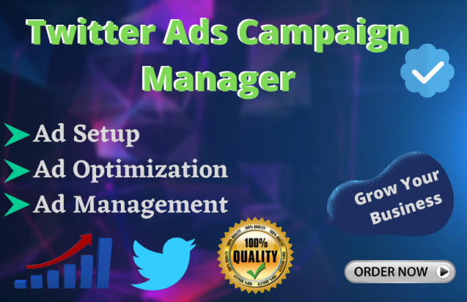 Gig Preview - Be your twitter ads manager