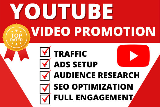 Gig Preview - Do organic youtube promotion of your channel video and monetization