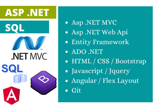 Gig Preview - Do any asp dot net mvc work