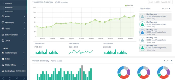 Gig Preview - Create attractive admin dashboard for data visualisation