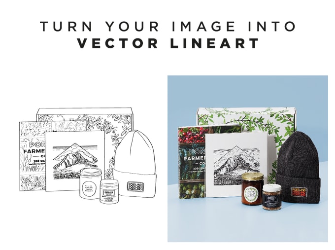 Gig Preview - Turn your image into vector lineart