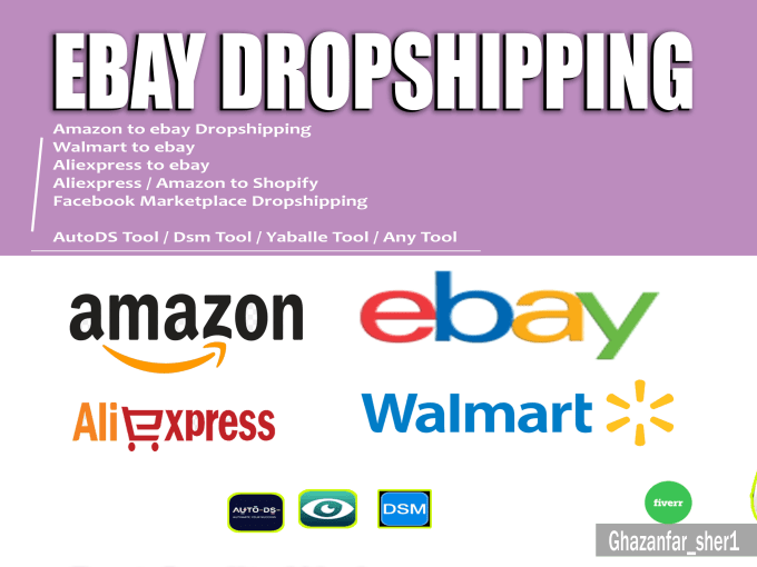 Gig Preview - Profitable amazon walmart aliexpress to ebay dropshipping