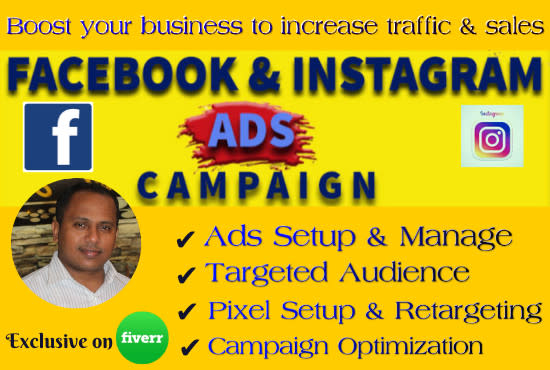 Gig Preview - Setup your facebook and instagram ads campaign