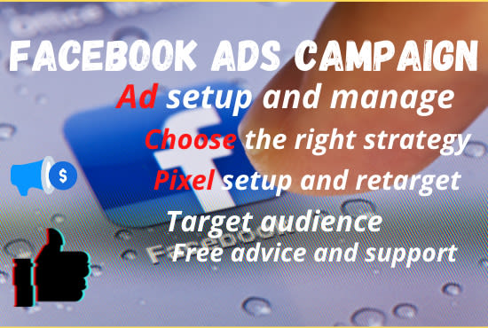 Gig Preview - Setup facebook ads campaign and manage