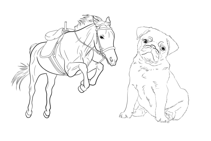 Gig Preview - Create coloring pages about animals