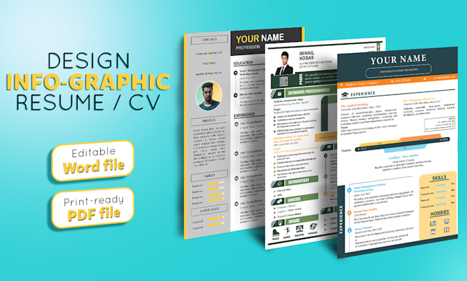 Gig Preview - Create professional infographic cv design,resume and cv templates