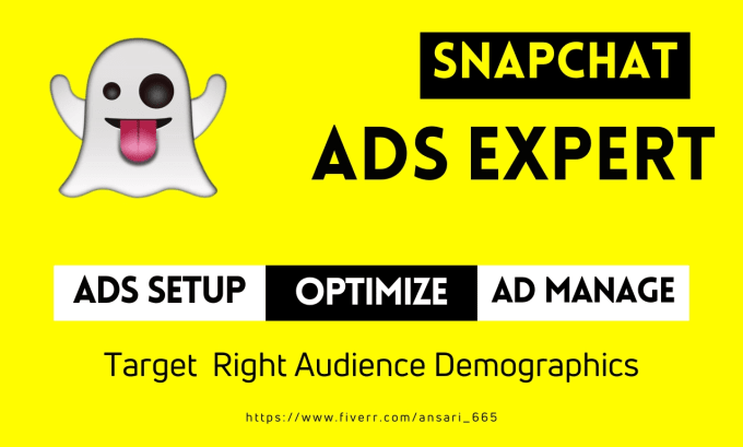 Gig Preview - Run profitable snapchat ads for your business