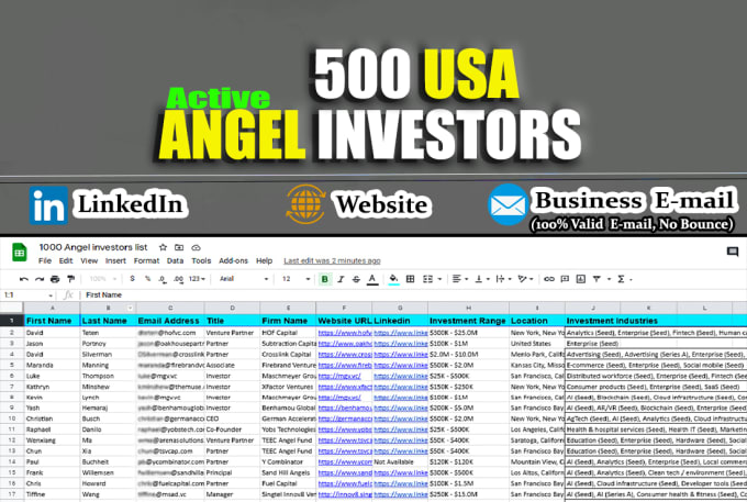 Gig Preview - Send real 500 USA angel investor email list with more leads