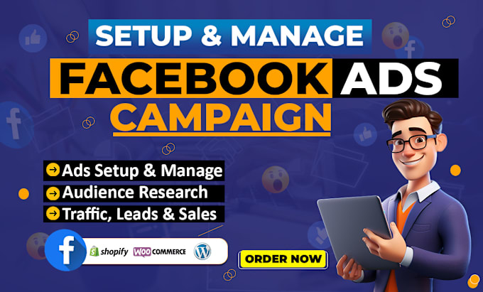 Gig Preview - Create effective facebook and instagram ads campaign to grow your business