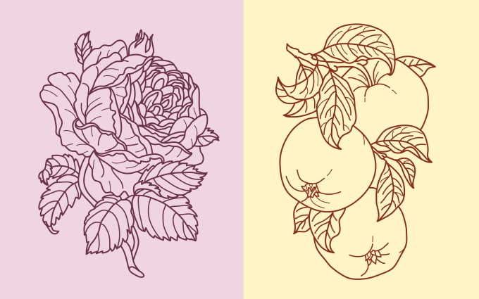 Gig Preview - Draw line art vector illustration of plants and flowers