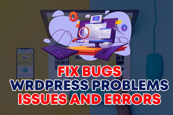 Gig Preview - Fix bugs, wordpress problems, issues and errors in 24 hours