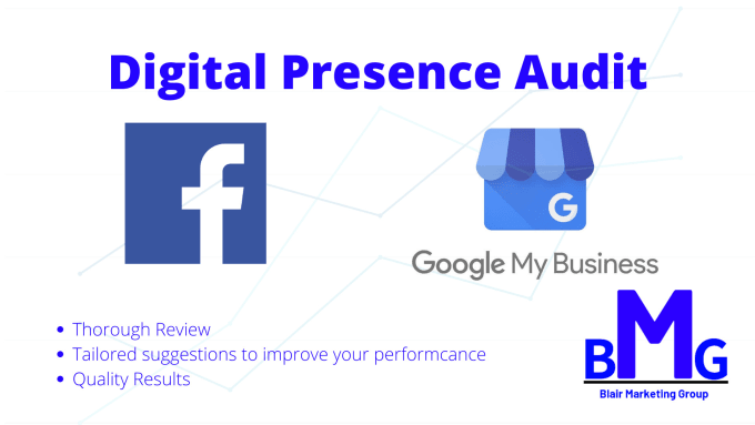 Gig Preview - Audit your digital presence