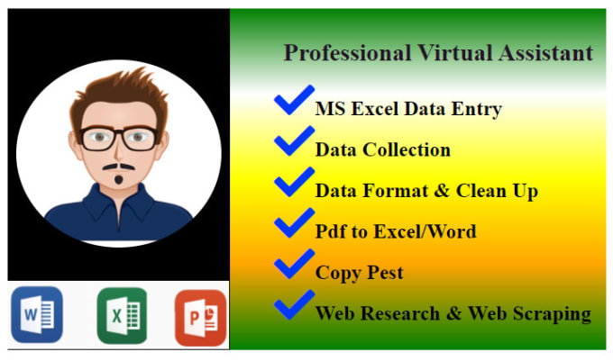 Gig Preview - Do ms excel data entry, copy pest, web scraping job