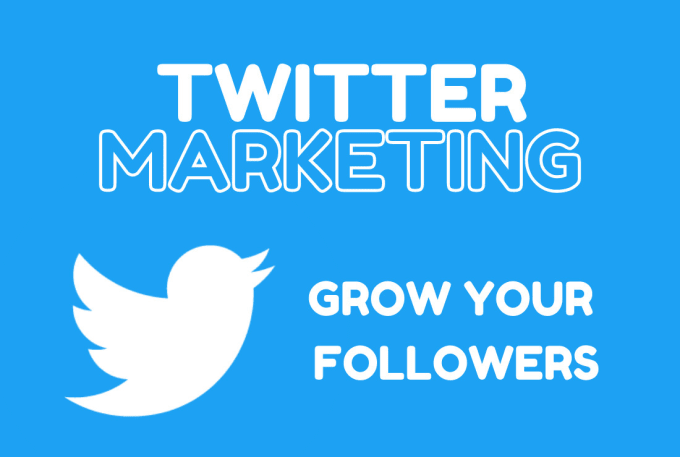 Gig Preview - Do twitter marketing and grow your followers