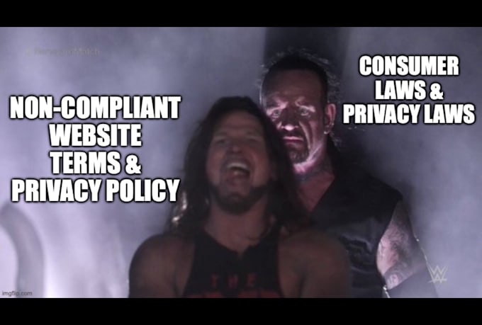 Gig Preview - Write legally compliant website terms and privacy policy