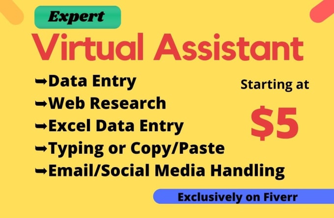 Gig Preview - Be your virtual assistant for data entry and web research job