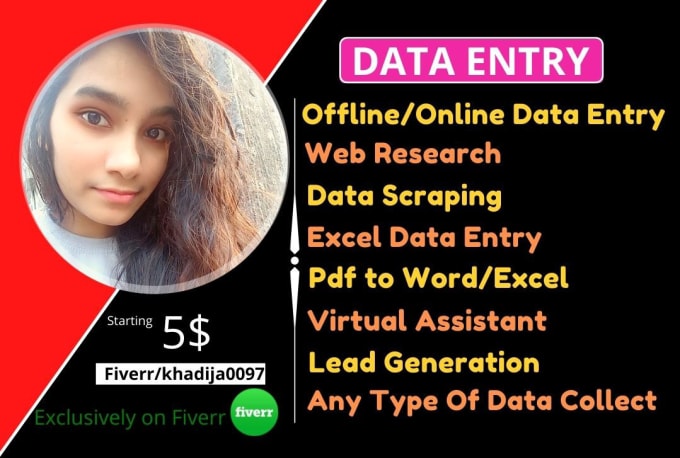 Gig Preview - Do any kind of data entry, copy paste, excel data entry, web research, scraping