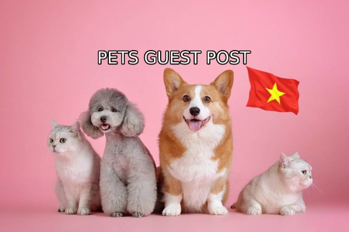 Gig Preview - Publish a guest post and PR on my pet blog with high traffic in vietnam