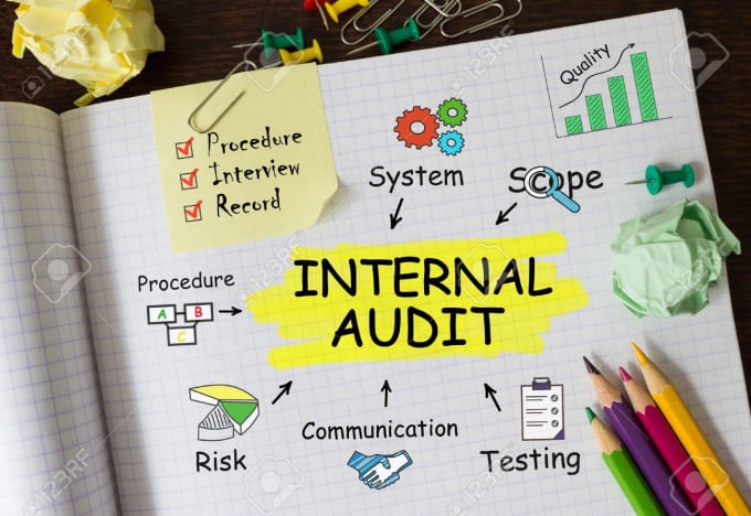 Gig Preview - Do internal audit, compliance and risk contol management