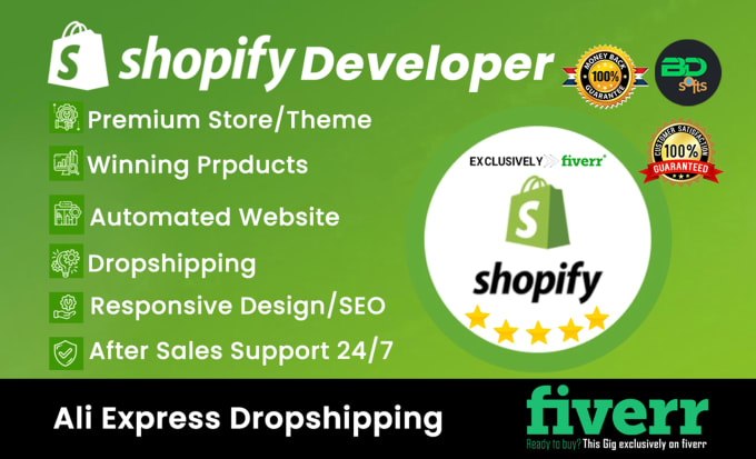 Gig Preview - Make ecommerce shopify store dropshipping shopify store