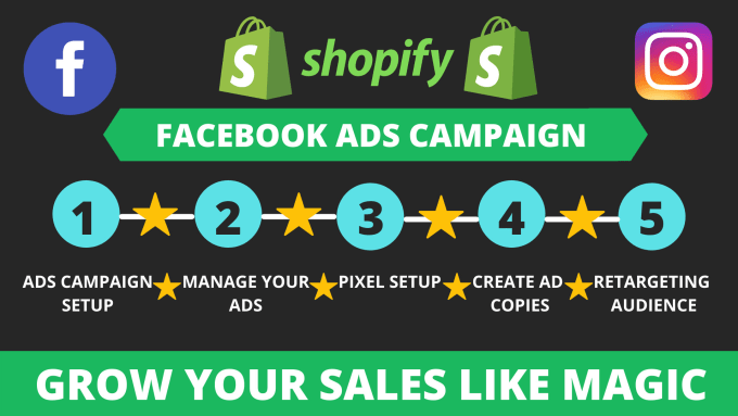 Gig Preview - Setup and manage shopify facebook ads campaign, fb advertising