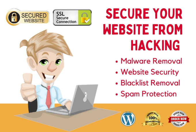 Gig Preview - Do malware removal, complete website security and fix wordpress issues