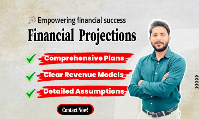 Gig Preview - Craft investor ready financial plan, forecast and model