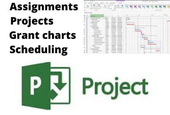 Gig Preview - Do your project management proposals reports on the ms project