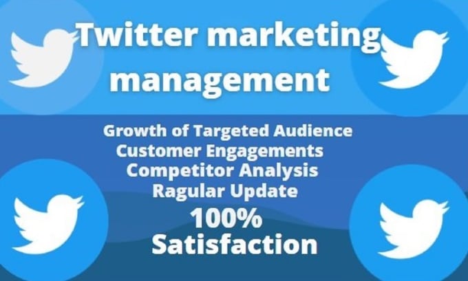 Gig Preview - Do super fast twitter marketing organic growth,