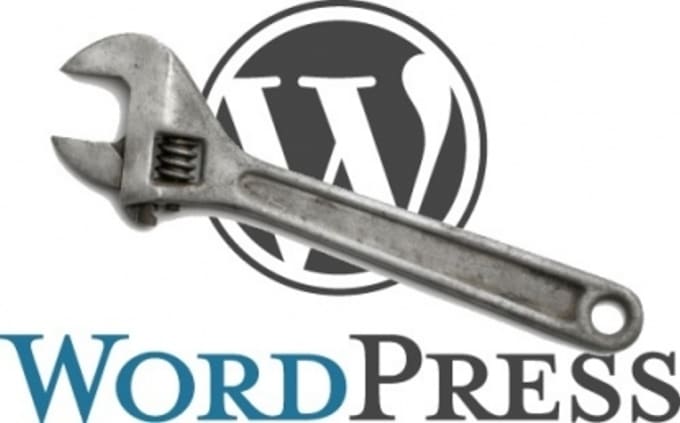 Gig Preview - Manage, protect and maintain wordpress wesbite for year