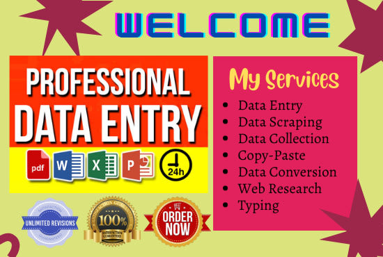 Gig Preview - Do accurate data entry, excel data entry, web research , PDF to excel