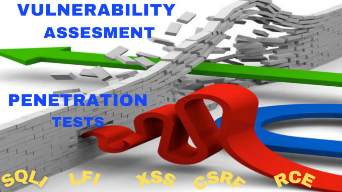 Gig Preview - Vulnerability assessment, penetration testing and cyber security