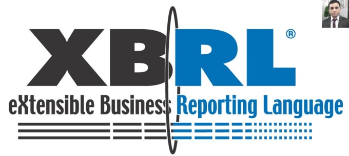 Gig Preview - Create xbrl financial reports