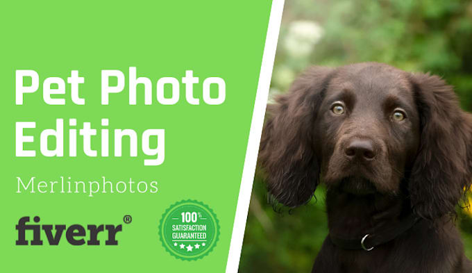 Gig Preview - Edit your pet photos to a professional standard