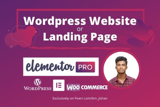 Gig Preview - Design modern wordpress website or landing page with elementor pro