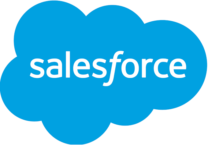 Gig Preview - Salesforce anything for you