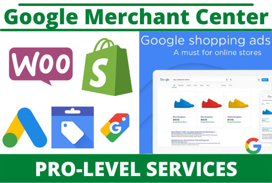 Gig Preview - Do google merchant center,shopping ads and fix feed