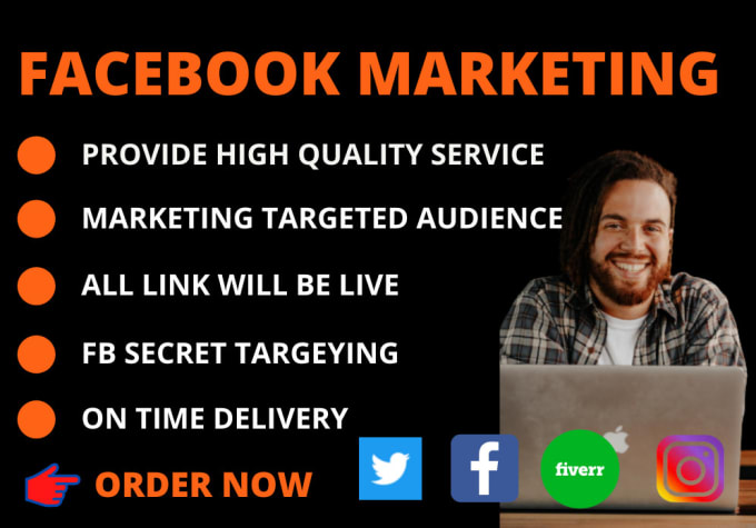 Gig Preview - Do facebook advertising and marketing for your business in USA, UK