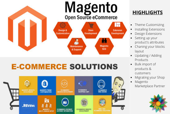 Gig Preview - Develop, fix, or customize your magento ecommerce site