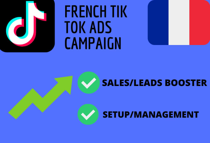 Gig Preview - Create the best  french tik tok ads campaign