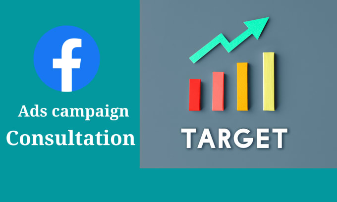 Gig Preview - Provide 1 on 1 facebook ads and instagram ads consultation