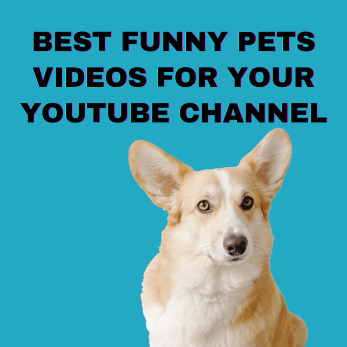 Gig Preview - Make viral funny pets animal videos for youtube, tiktok and facebook videos