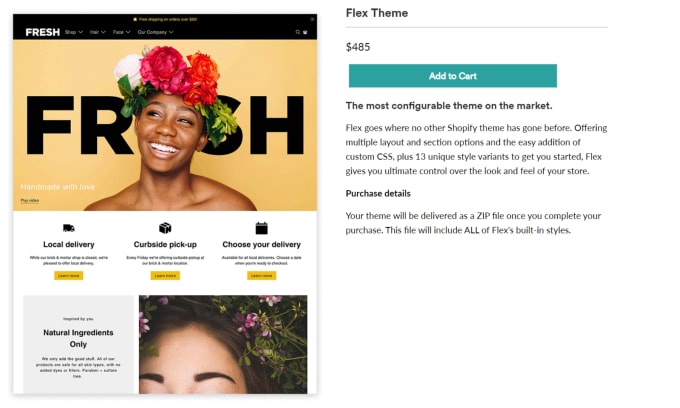 Gig Preview - Install premium shopify themes like flex, turbo and more