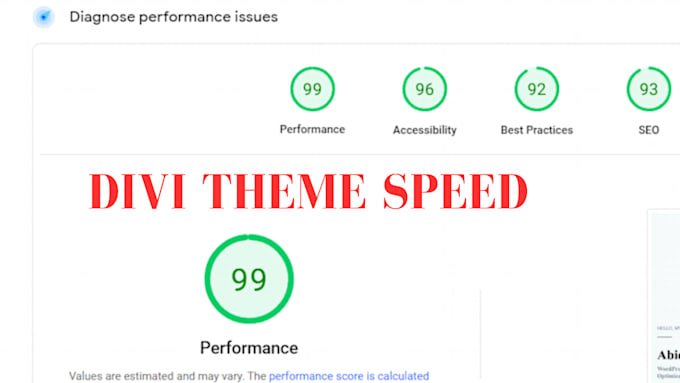 Gig Preview - Do divi theme and wordpress speed optimization