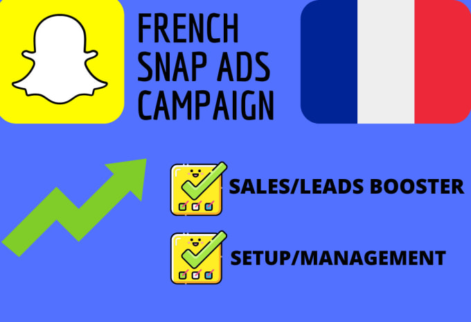 Gig Preview - Create the best french snapchat ads campaign