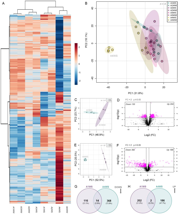 Gig Preview - Do data analysis and visualization with rstudio, excel and graphpad